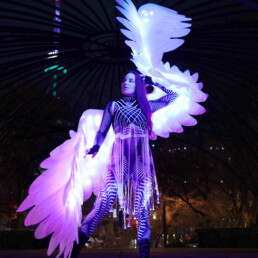 unnatural-glow-custom-fiber-optic-wings